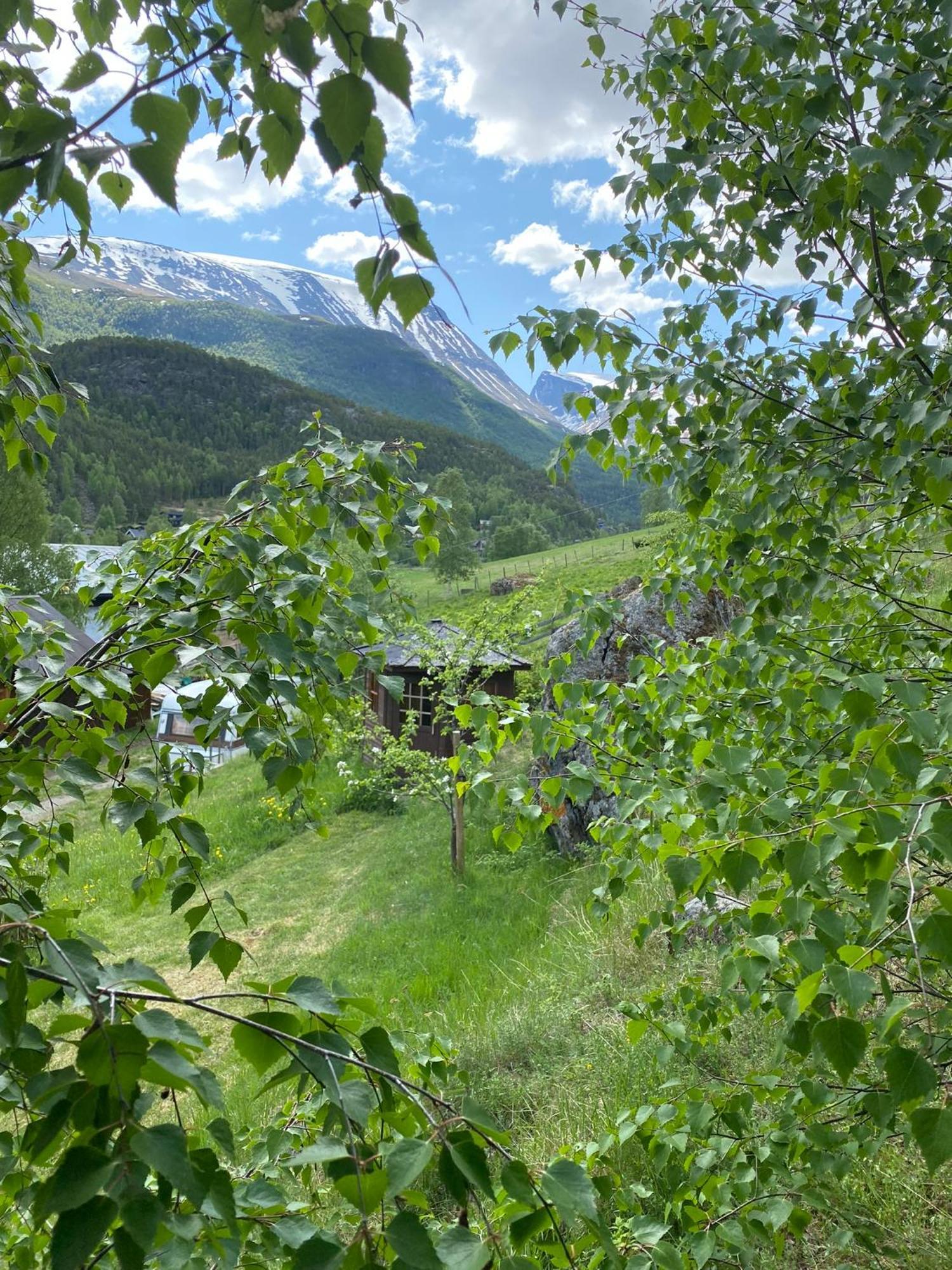 Boverdalen Galde Uppigardヴィラ エクステリア 写真