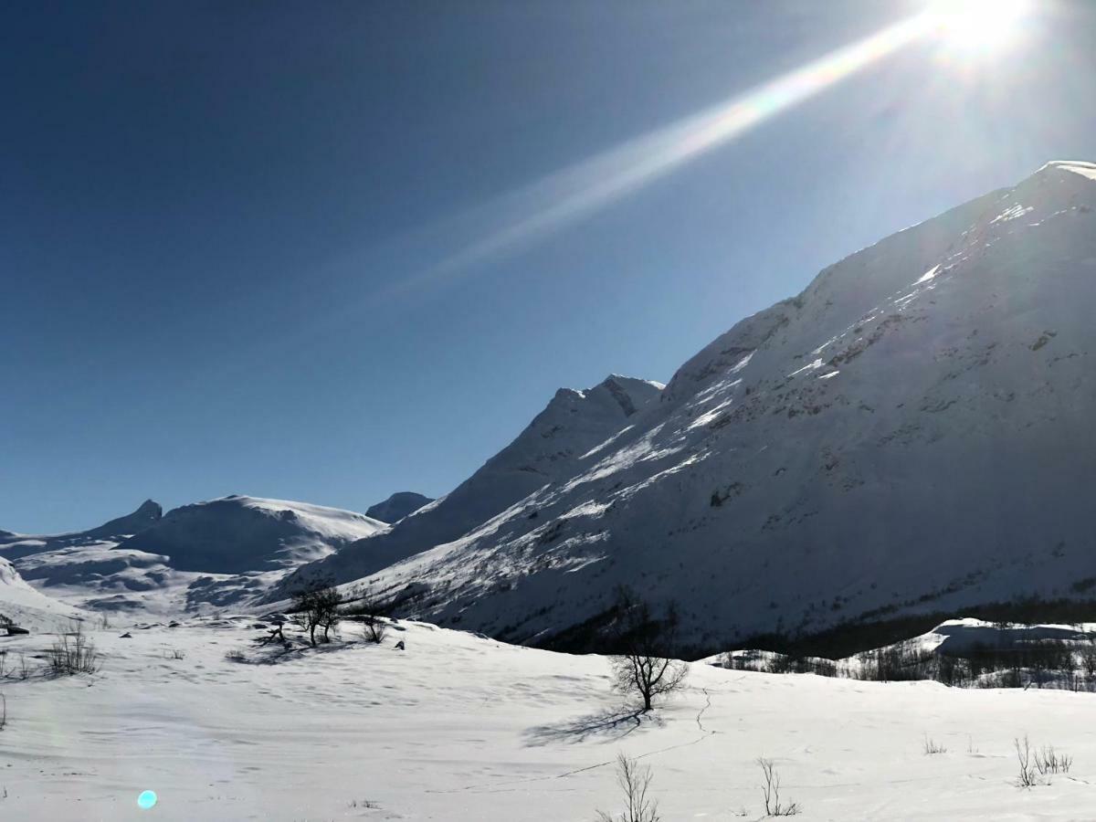 Boverdalen Galde Uppigardヴィラ エクステリア 写真